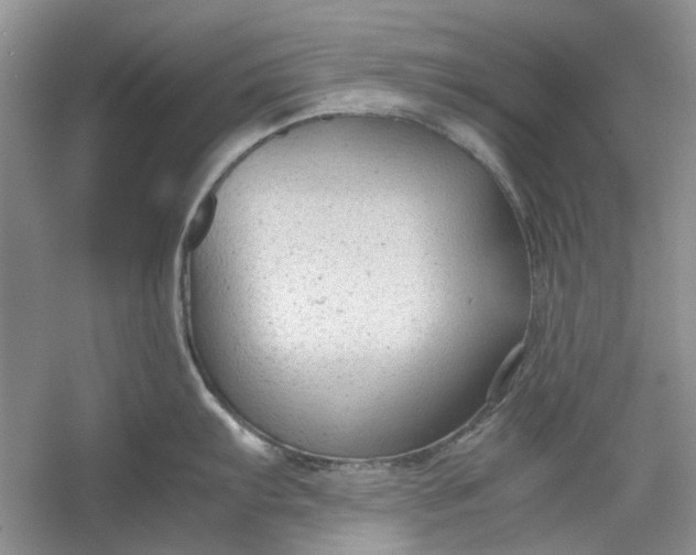 X0000060551103200511171532