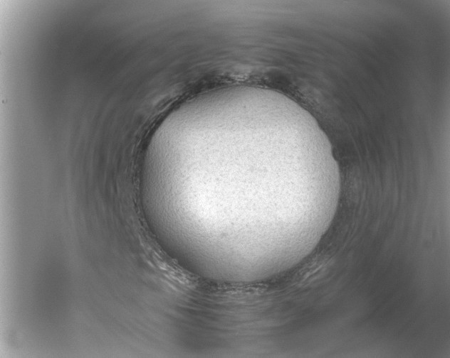 X0000060551105200511171531