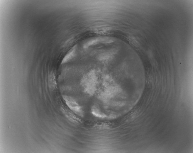 X0000060551106200511171531