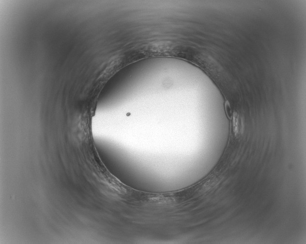 X0000060551107200511171531