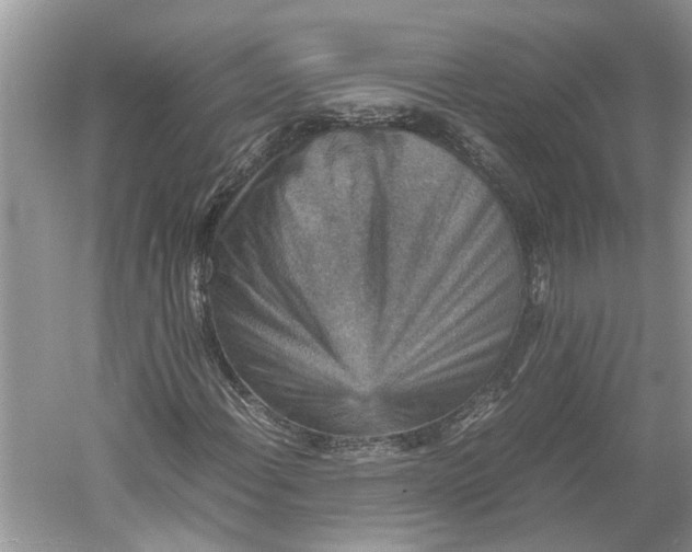 X0000060551108200511171531