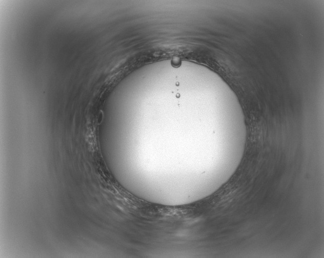 X0000060551109200511171531