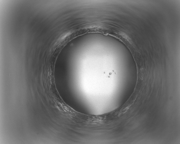 X0000060551111200511171531