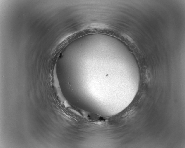 X0000060551112200511171531