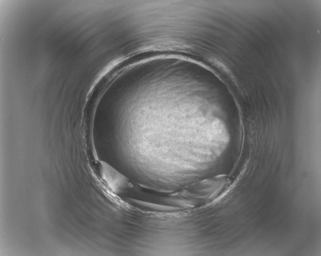 X0000060551114200511171531