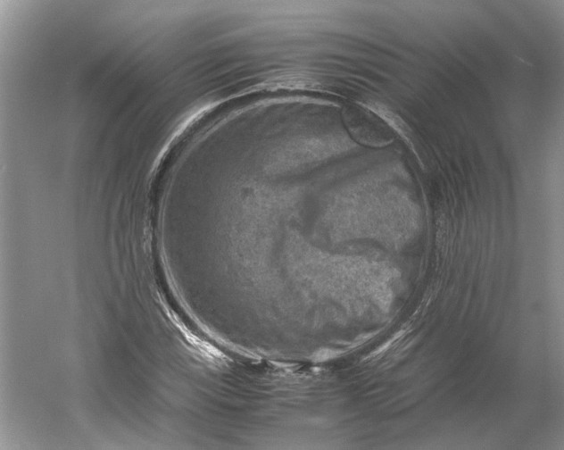 X0000060551115200511171531