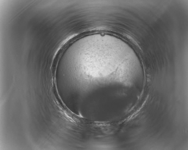 X0000060551117200511171531