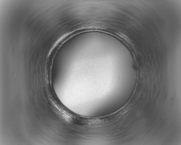 X0000060551120200511171531