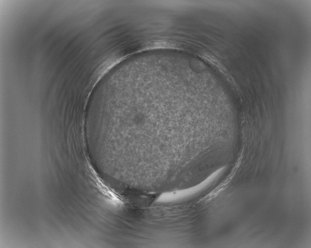 X0000060551121200511171531