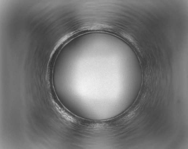 X0000060551122200511171531