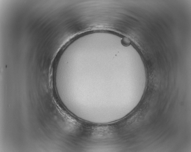 X0000060551126200511171532