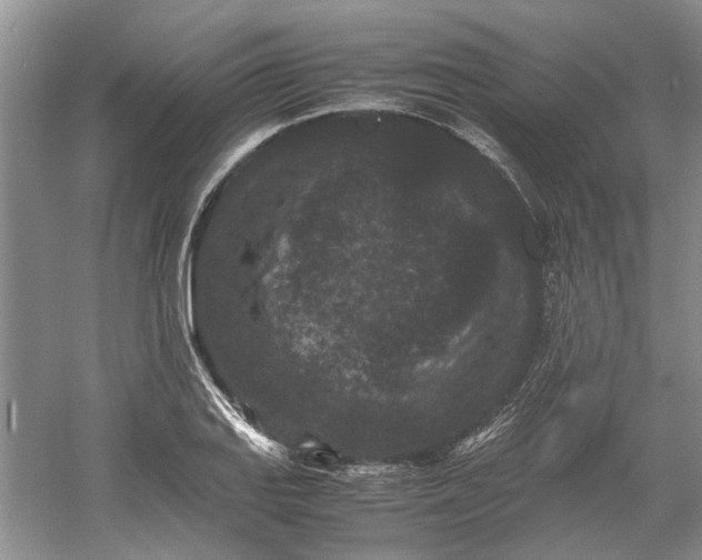 X0000060551127200511171532