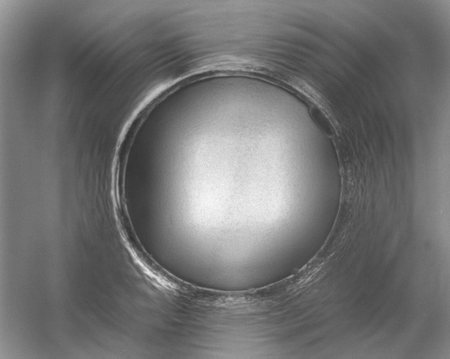 X0000060551128200511171532