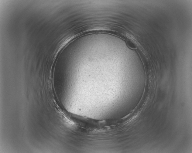 X0000060551129200511171532