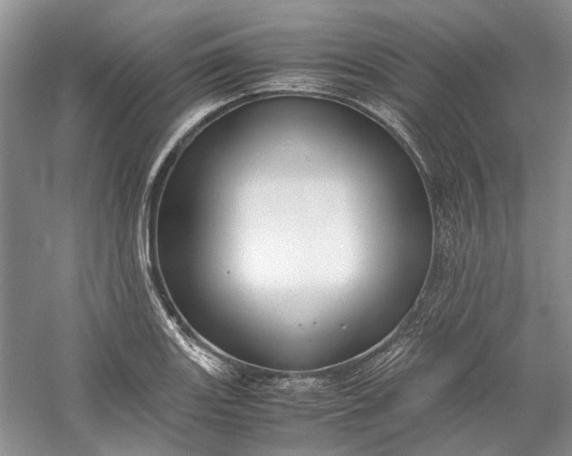 X0000060551131200511171532