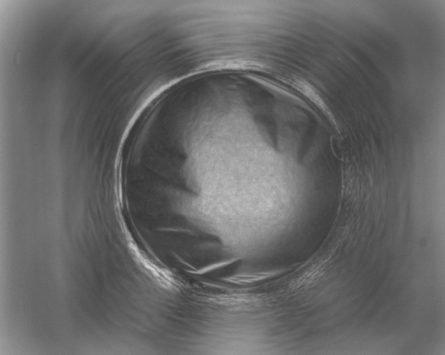 X0000060551132200511171532