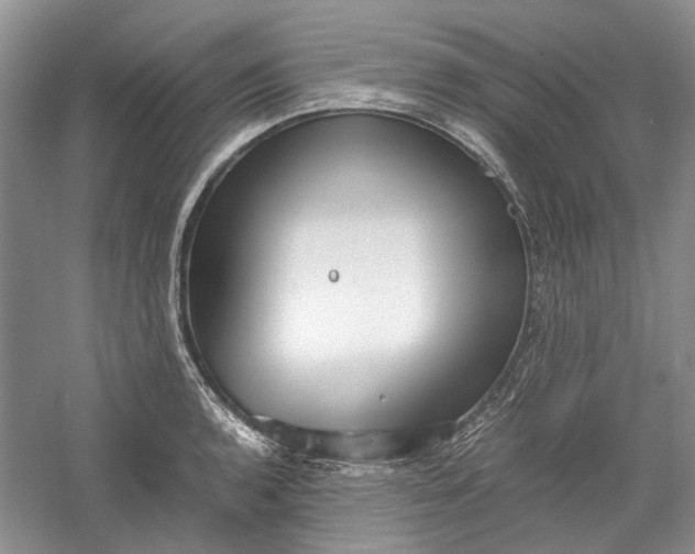 X0000060551136200511171532