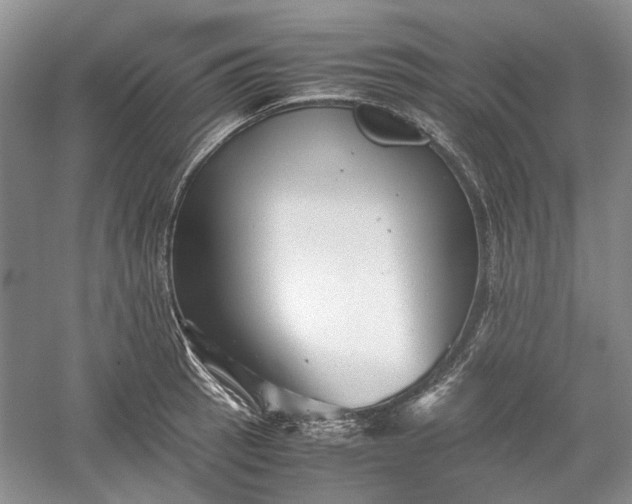 X0000060551137200511171532