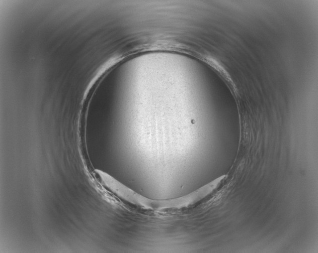 X0000060551138200511171532