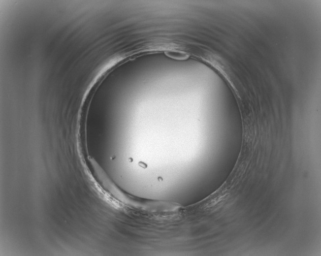 X0000060551139200511171532