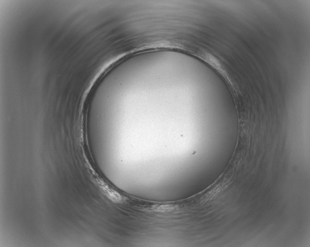 X0000060551140200511171532