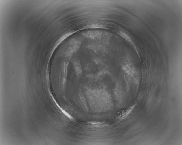 X0000060551141200511171532