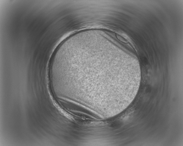 X0000060551142200511171532