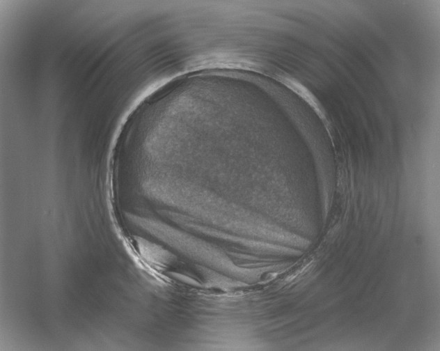 X0000060551144200511171532