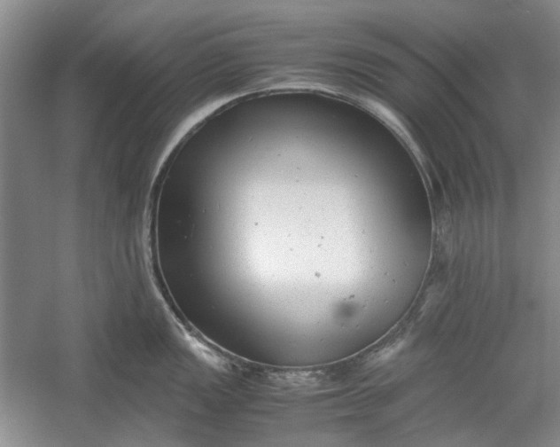 X0000060551149200511171532