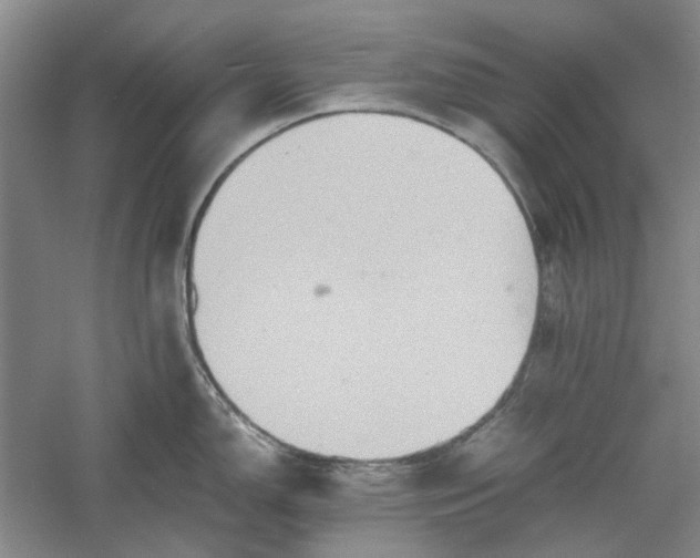 X0000060551150200511171532