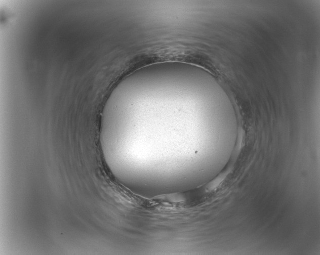 X0000060551153200511171531