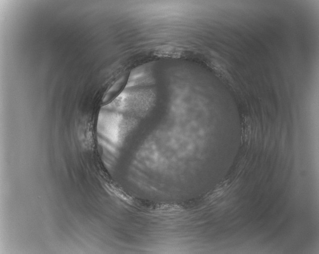 X0000060551154200511171531