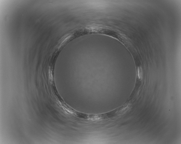 X0000060551155200511171531