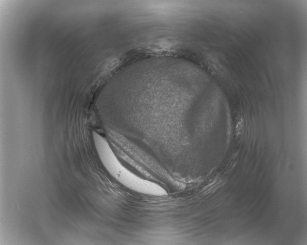 X0000060551156200511171531