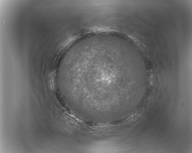 X0000060551157200511171531