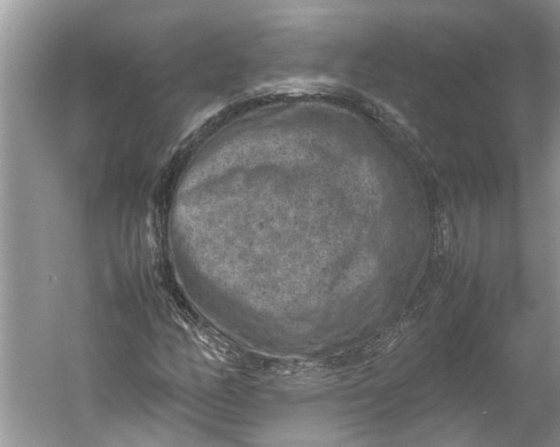 X0000060551158200511171531