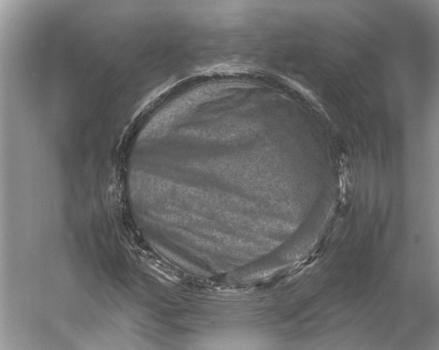 X0000060551160200511171531