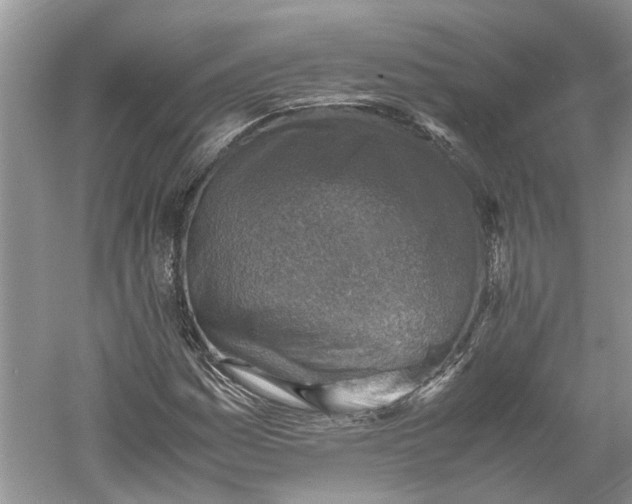 X0000060551161200511171531