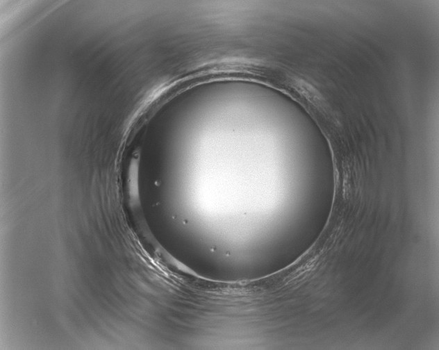 X0000060551164200511171531