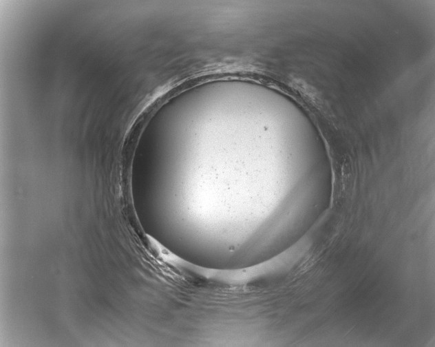 X0000060551165200511171531