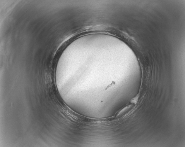 X0000060551166200511171531