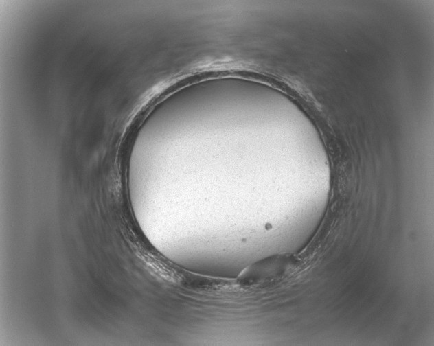 X0000060551167200511171531