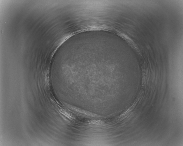 X0000060551170200511171531