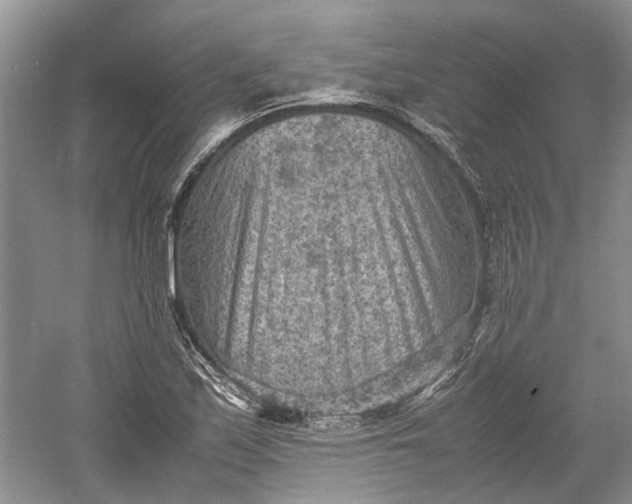 X0000060551171200511171531