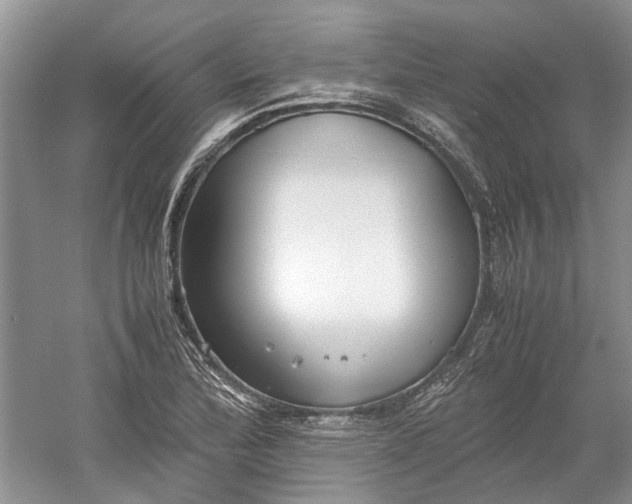 X0000060551172200511171531