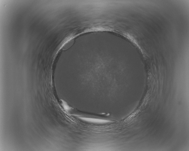 X0000060551173200511171531