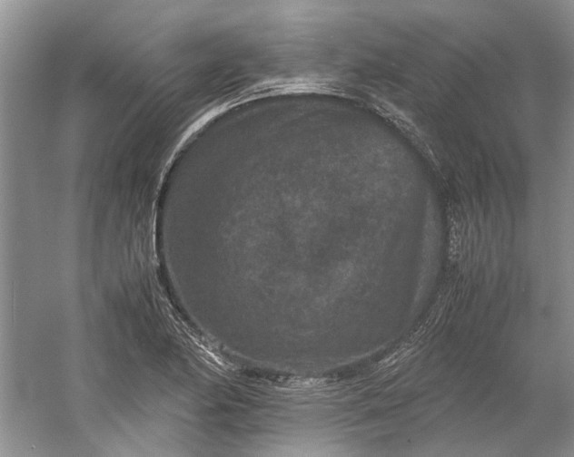 X0000060551174200511171531