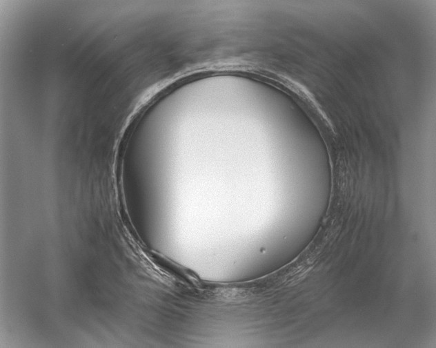 X0000060551176200511171531