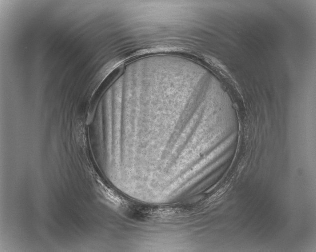 X0000060551177200511171531