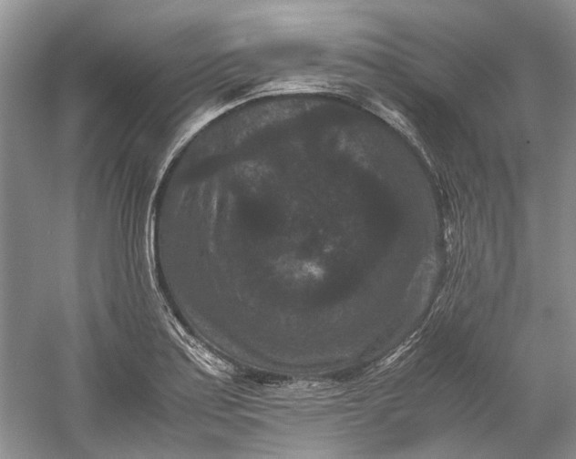 X0000060551179200511171531